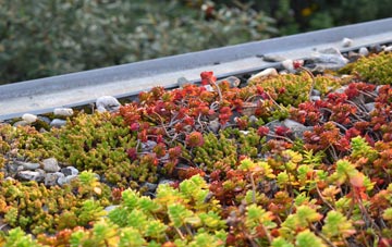 the cost of Java green roof installation