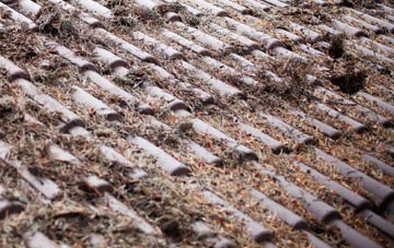 Java roof cleaning companies