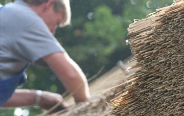 professional Java thatchers