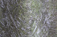 Java fibreglass roof work