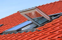 Java roof window