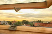 rated Java roof window companies